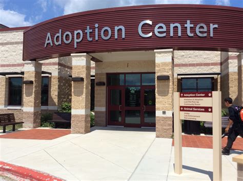 Volunteers Needed At Animal Services And Adoption Center Video
