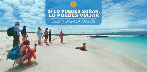 galapagos low cost guía completa para viajar por cuenta propia en galápagos chokotrip blog