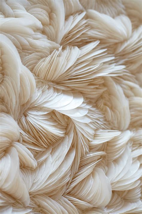 Maybe you would like to learn more about one of these? 2015 | Gallery_Categories | Aesthetic wallpapers, Beige ...