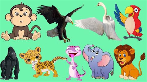 Bunyi haiwan untuk kanak kanak (haiwan di hutan) video pendidikan anak : bunyi haiwan untuk kanak kanak (haiwan di hutan) video ...