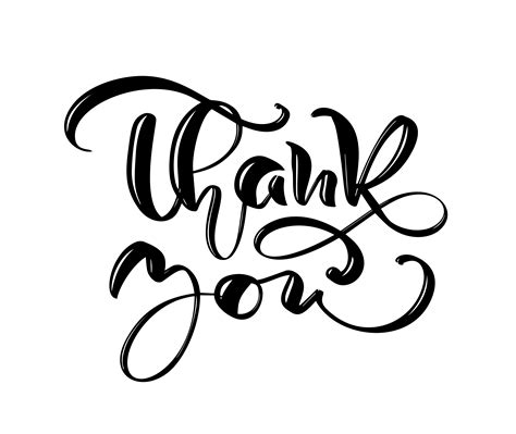 Thank You Hand Drawn Vector Text Trendy Hand Lettering Quote Fashion