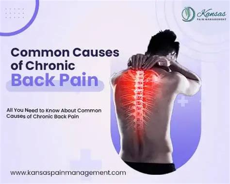 Common Causes Of Chronic Back Pain Kansas Pain Management