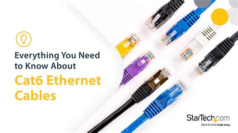 Cat Ethernet Cables Everything You Need To Know Startech Com Youtube