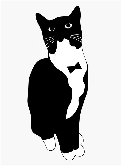 Cat Drawing Drawing Ideas Tuxedo Cat Hd Images Free Png Tattoo