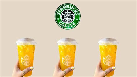 The 13 Best Starbucks Refreshers Starbuck Refreshing Drinks