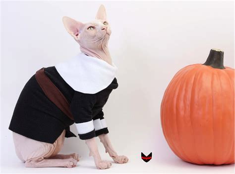 Sphynx Cat Clothes Pilgrim Cat Costume Cat Sweater By Simplysphynx