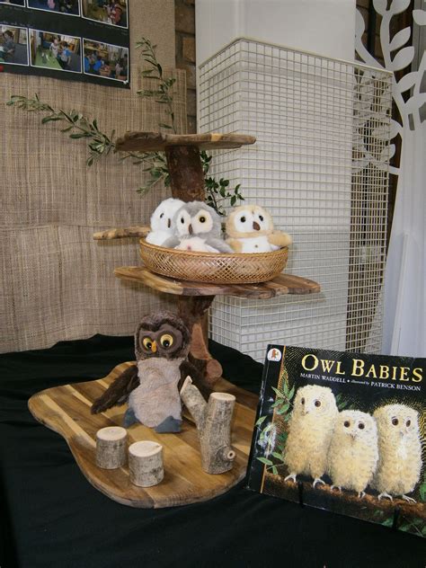 Owl Babies Story Table Owl Babies Book Owl Activities Early