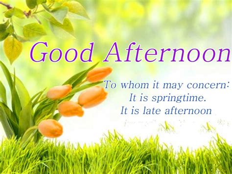 afternoon quotes funny shortquotes cc