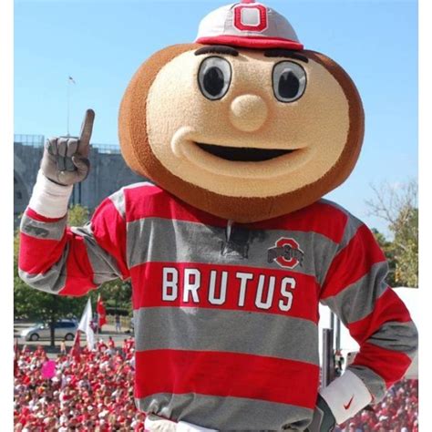 Ohio State University Brutus Buckeye Mascot Costume