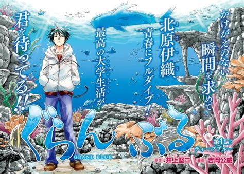 Diving Dan Harem Grand Blue Dreaming Diangkat Menjadi Anime Tv