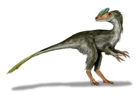 Guanlong Fossil Wiki The Paleontology Wiki