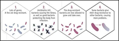 Antibiotic Resistance Origin Causes Mechanism And Prevention