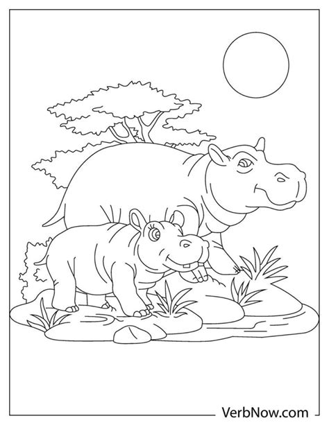 Free Hippopotamus Coloring Pages And Book For Download Printable Pdf