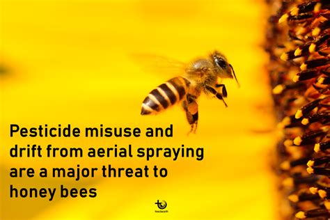 Tiredearth Lets Save The Honey Bees From Pesticides