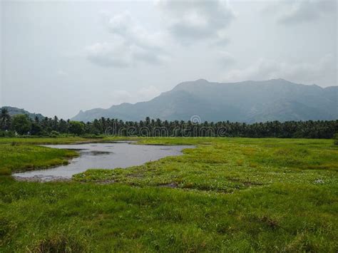 Western Ghats Mountain Range And Wetlands In Kanyakumari District