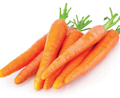 The Lost Plot Growing Carrots Healthy Food Guide
