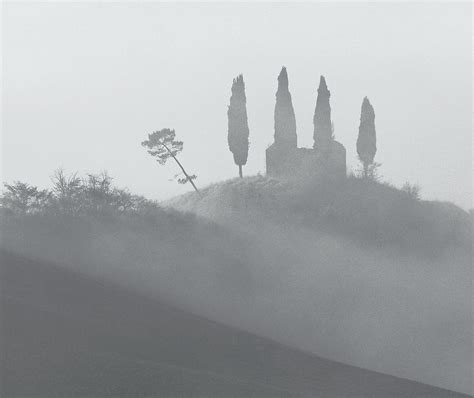 Zypressen Cypresses In The Morning Fog Crete Senesi Tusc Flickr