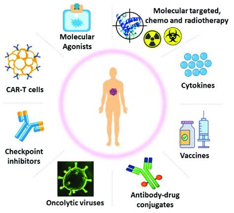 Cancer Immunotherapy Download Scientific Diagram