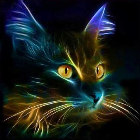 19 Fluorescent Cat