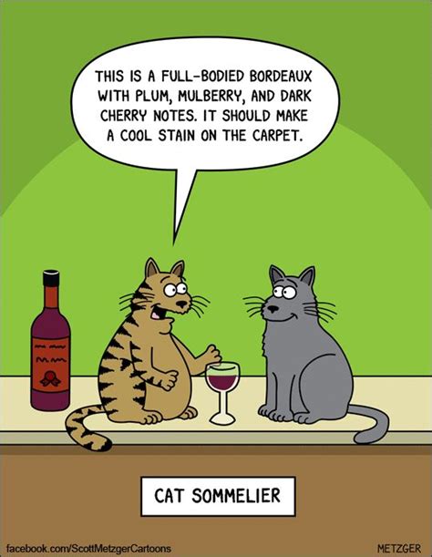 690 Best Cat Cartoons Images On Pinterest Cat Cartoons Jimmy Johnson