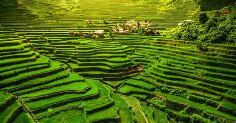 The Banaue Rice Terraces In The Philippines Traveler By Unique