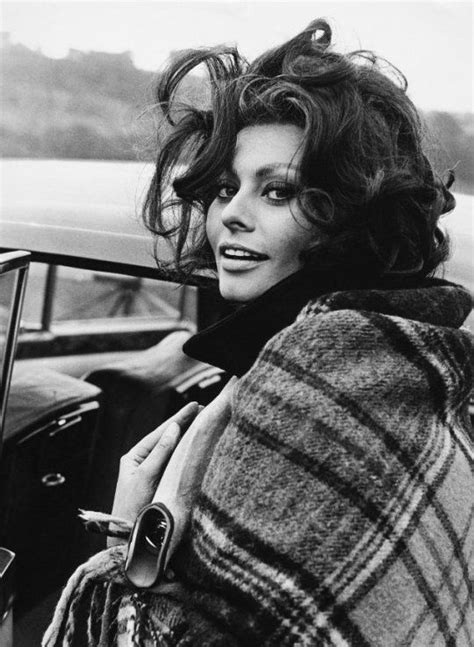 Ladies Of The 60s Sophia Loren Photo Sophia Loren Italian Women