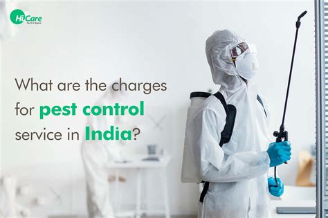 top 5 pest control services and their charges in india in 2024
