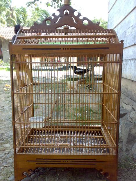 Check spelling or type a new query. Kurungan Manuk: Sangkar Burung Jenis Kosan