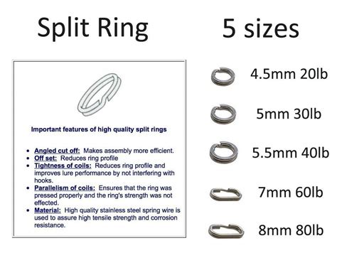 Oval Split Ring Size Chart Chart Examples