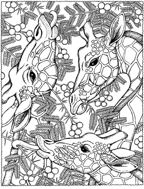 Coloring cute giraffe crayola animals coloring page prismacolor paint markers | kimmi the clown. Giraffes heads - Giraffes Adult Coloring Pages