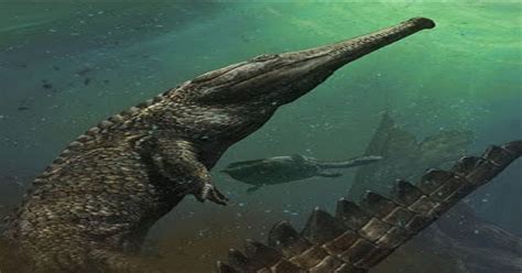 Maybe you would like to learn more about one of these? Buaya Laut, Spesies Buaya Paling Besar di Dunia | Naviri ...