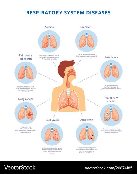Human Respiratory System Diseases Informative Vector Image