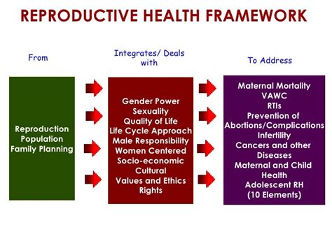 12 Elements Of Reproductive Health Hersmic