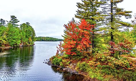 O Canada Autumn On The Canadian Shield 12 Photograph By Steve