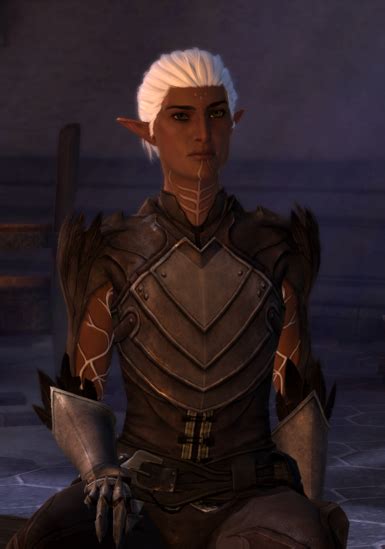 The Angsty One At Dragon Age 2 Nexus Mods And Community