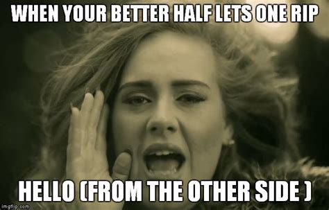 Adele Meme Hello From The Other Side