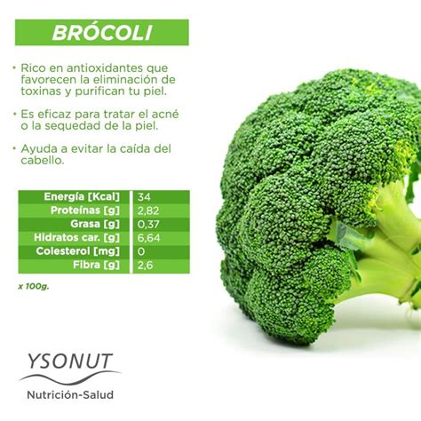 ¡nos Encanta El Brócoli Además Es Una De Las Verduras Que Puedes