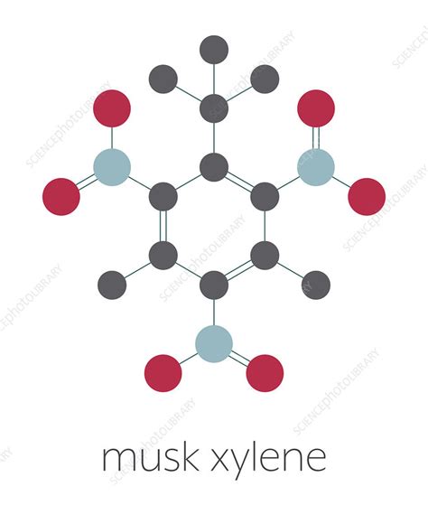 Musk Xylene Molecule Stock Image C045 7797 Science Photo Library