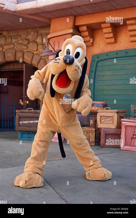 Pluto Character Disneyland Resort Theme Park Anaheim California