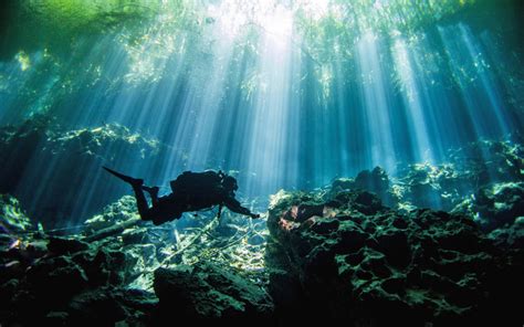 Cenotes Diving In Yucatan Mexico Best Cave And Cavern Dives In The World Expert Dive Team