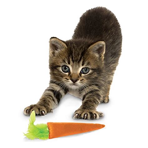 Ourpets 100 Percent North American Catnip Filled Carrot Cat Toy 24