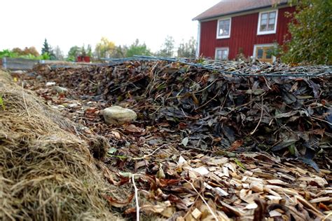 How often does it need to be replaced? How Much Mulch Do I Need? - Sara's Kitchen Garden