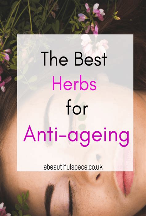 Best Herbs For Anti Ageing A Look At The 7 Best Herbs To Help You Look