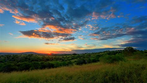 Green Field At Sunset Hd Wallpaper Wallpaper Flare