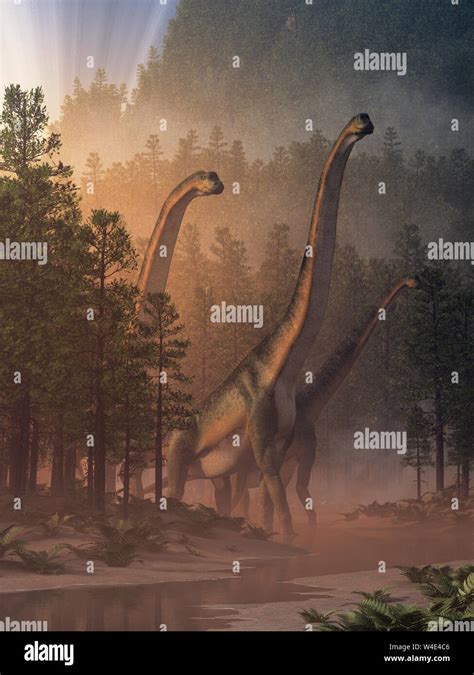 Brachiosauruses Sauropods Who Were The Largest Of The Dinosaurs And