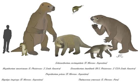 Ground Sloths 4 Megatheriids By Artbyjrc On DeviantArt Ground Sloth