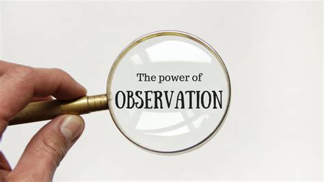 The Power Of Observation Montessori Nurture