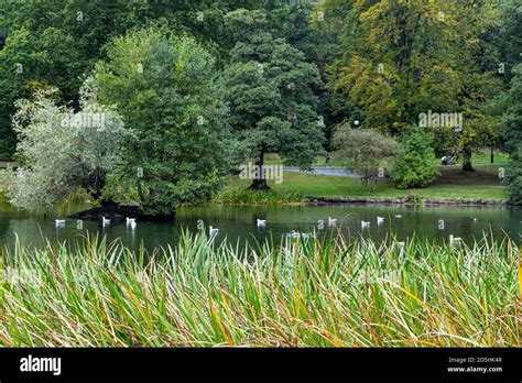 Slottsskogen Park Gothenburg Sweden Stock Photo Alamy