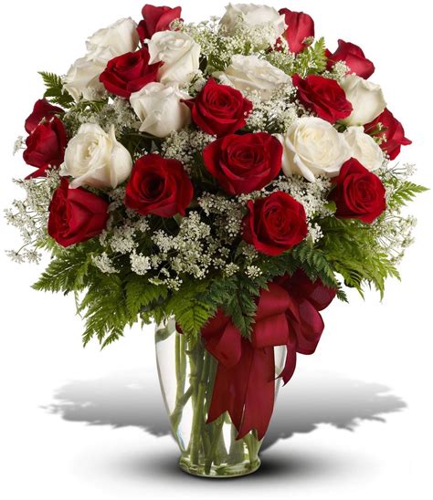 Divine Love Red And White Two Dozen Rose Bouquet Bridgewater Florist
