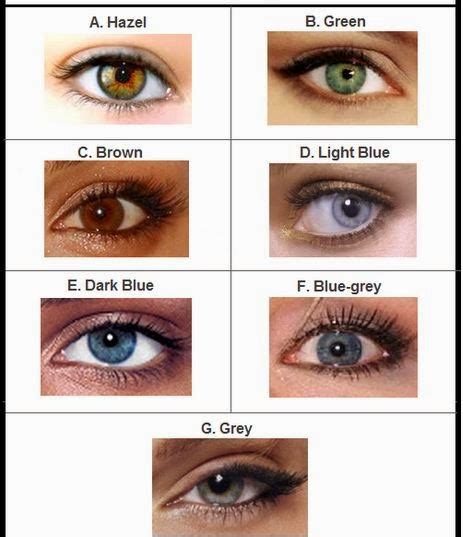 What Your Eye Color Reveals About You Useful Information